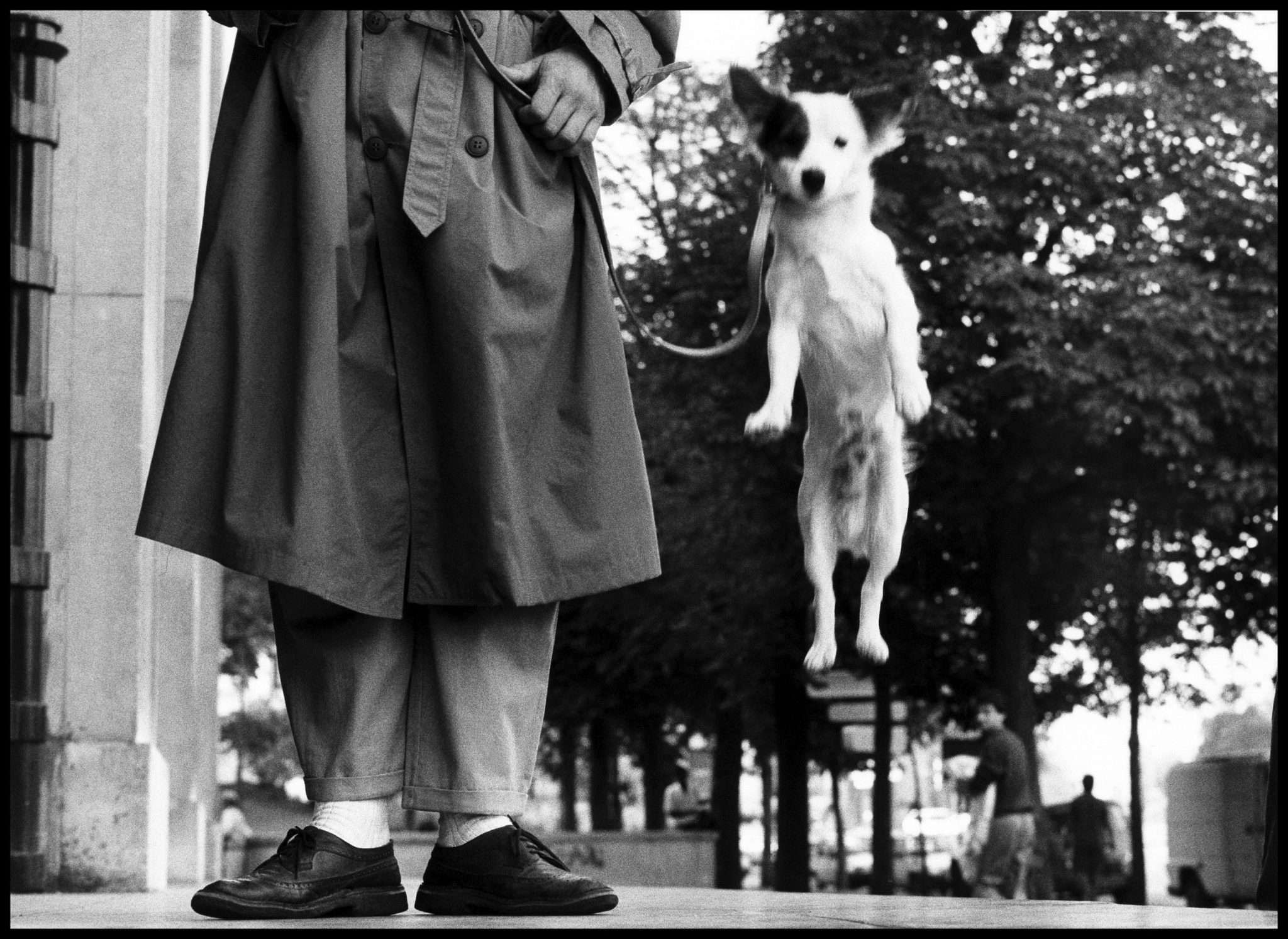 elliott erwitt