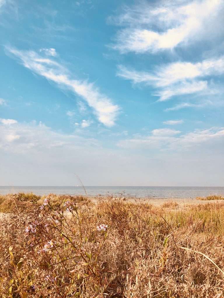 spiaggia della boschettona