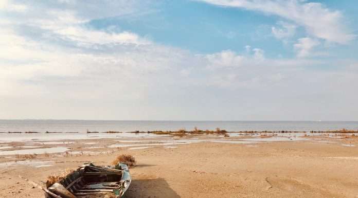 La Spiaggia della Boschettona, la spiaggia di Padova spiaggia della boschettona