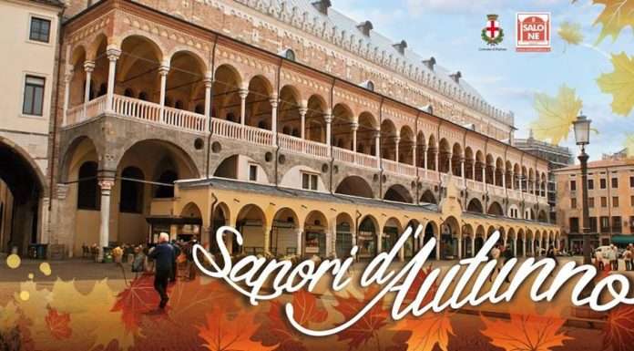 Il Sotto Salone, il mercato al coperto più antico d’Europa, in festa a Padova