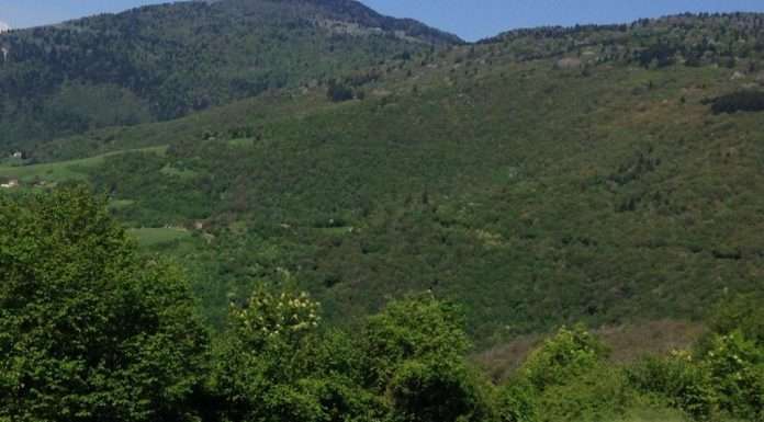 Poco tempo per pedalare: allora andate di Covolo e Parco del Sojo parco del sojo