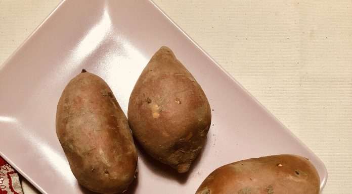 Batata rossa dolce: prelibata delizia coltivata in Veneto ricca di benefici batata rossa dolce
