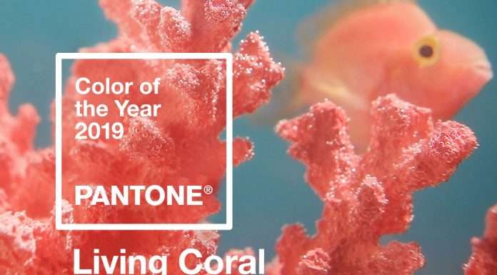 Living Coral mania, ecco perchè il colore Pantone dell’anno è tra i più sgai di sempre. living coral arredamento