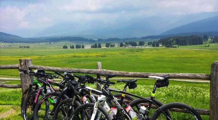 Sgaie a due ruote: pedalando tra le meraviglie del Pian del Cansiglio