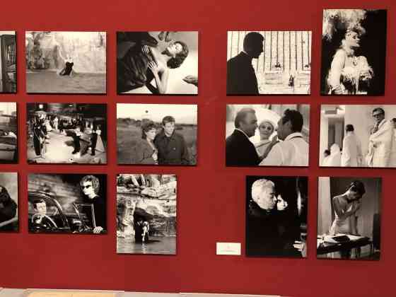 federico fellini padova