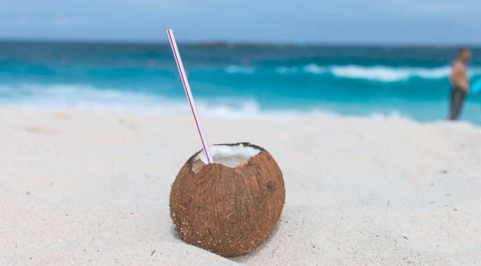 CocconApp – l’app gratuita che rivoluzionerà le vostre vacanze al mare