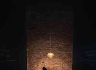 biennale d'arte 2024