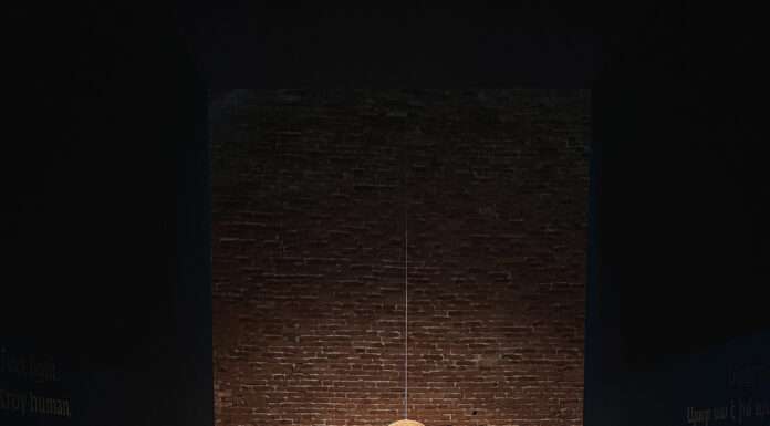 Biennale d’Arte 2024: Stranieri Ovunque – Foreigners Everywhere biennale d'arte 2024