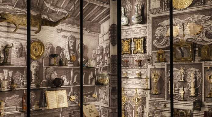 Alla scoperta di meraviglie: la mostra Cabinet of Wonders a Venezia cabinet of wonders