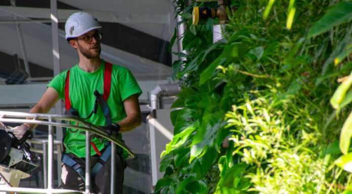 Pareti verdi e città più respirabili: il progetto Verde Verticale raccontato da Simone Celebrin Verde Verticale giardini verticali