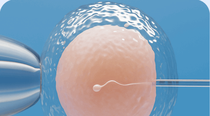 Il tempo biologico non è un tabù: la visione di MeggyCare meggycare