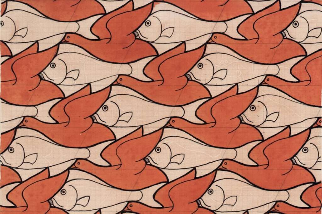 mostra Escher Padova