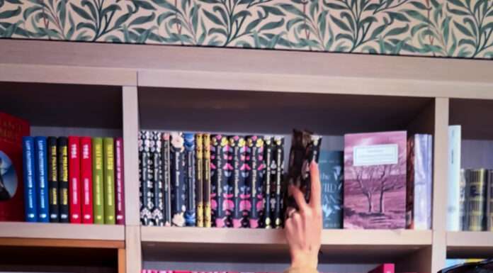 Librerie venete indipendenti: dove i libri diventano comunità (e perché vale la pena entrarci davvero) librerie venete indipendenti
