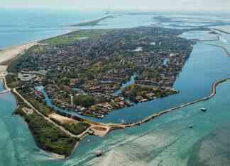 Isola di Albarella: l’isola-ritiro (organizzato) del Delta del Po, tra ospitalità e biodiversità Isola di Albarella