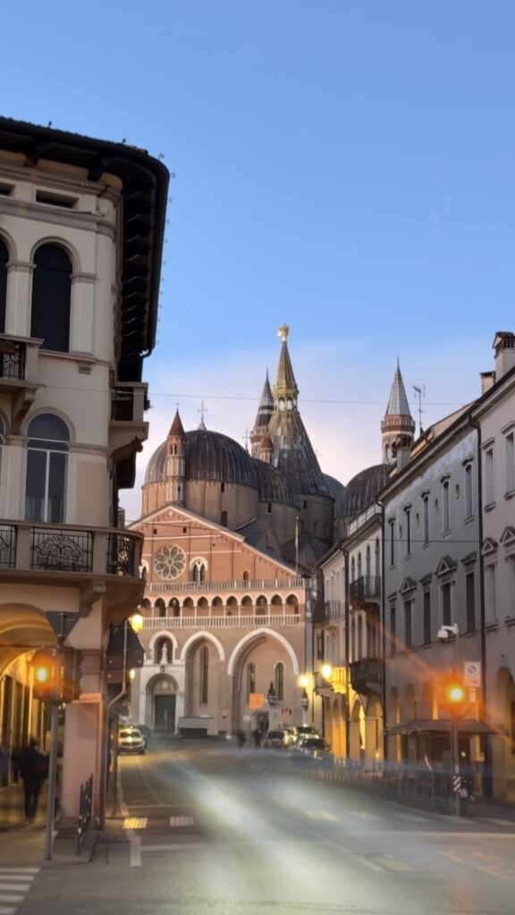 cupole Basilica del Santo Padova