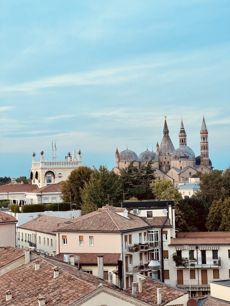 cupole Basilica del Santo