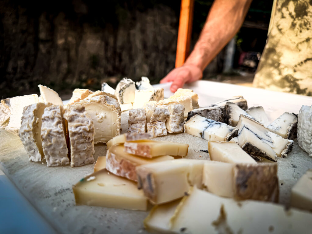 Fattoria Pedevenda colli euganei formaggi di capra