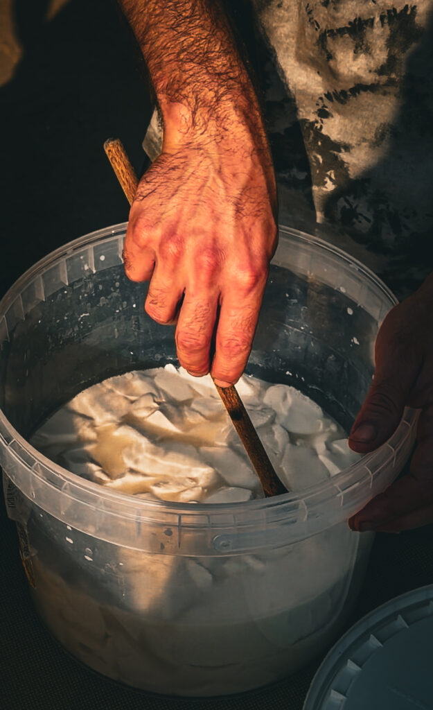 Fattoria Pedevenda colli euganei formaggi di capra