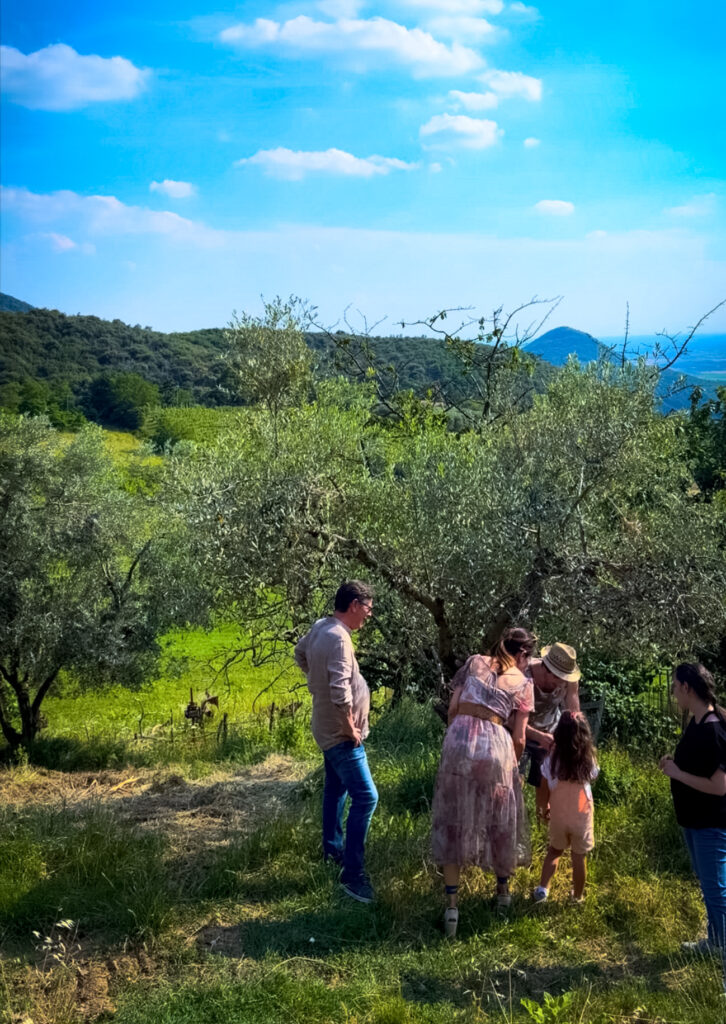 Fattoria Pedevenda colli euganei formaggi di capra